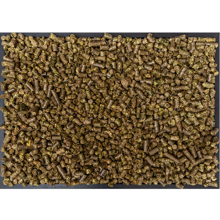 Höveler Pur.Luzerne Cob